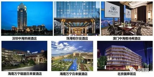 中海商業(yè)榮膺2017中國(guó)房地產(chǎn)開(kāi)發(fā)企業(yè)品牌價(jià)值商業(yè)10強(qiáng)第三名