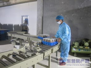 東營市產業(yè)雙輪驅動 食用菌產業(yè)發(fā)展與房地產開發(fā)的協(xié)同并進